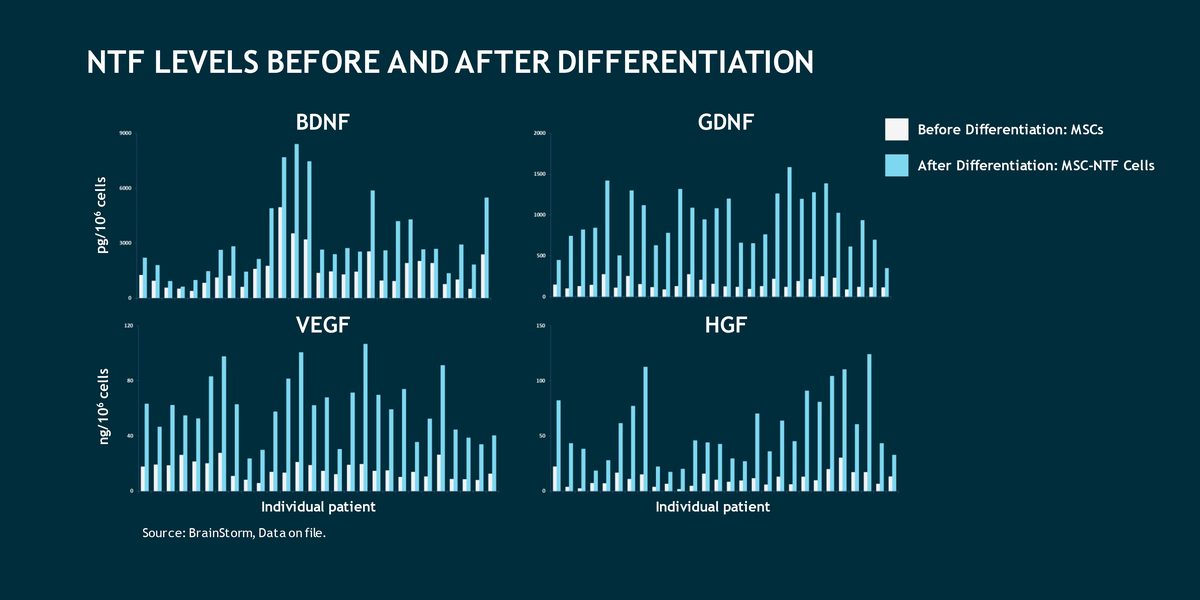 Four-panel chart comparing BDNF, GDNF, VEGF and HGF levels in MSCs before differentiation with MSC-NTF cells after differentiation